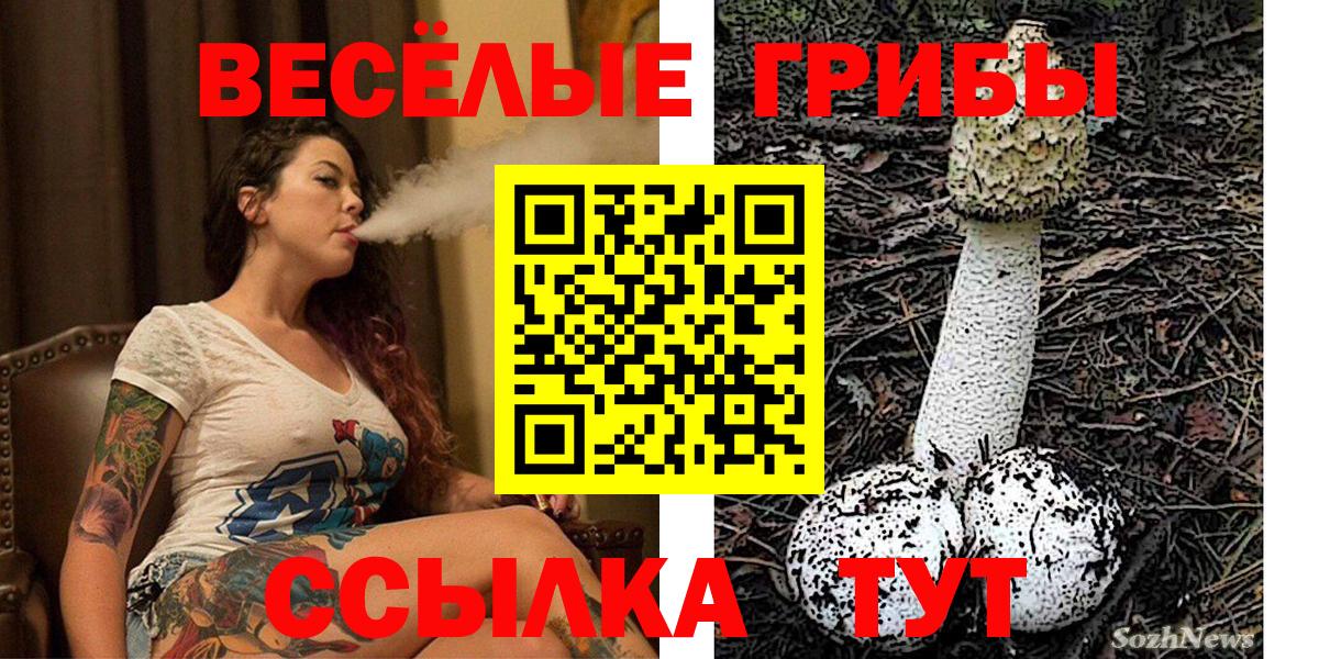 Галлюциногенные грибы ЛСД Шебекино