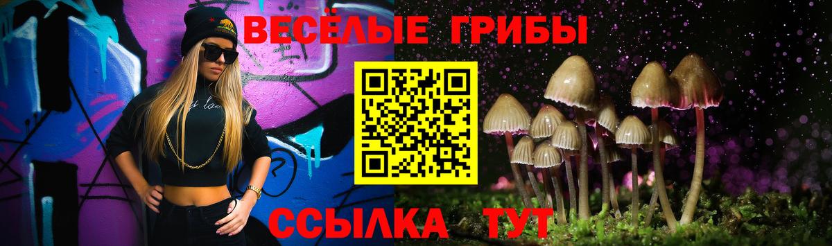 Псилоцибиновые грибы мицелий  Вход с VPN  Шебекино  Псилоцибиновые грибы мицелий 
